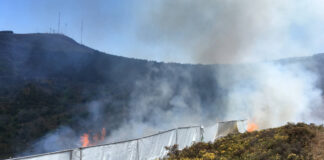Projeto Fire Protect: cientistas de Coimbra desenvolvem tecnologia de proteção contra incêndios florestais projeto fire protect
