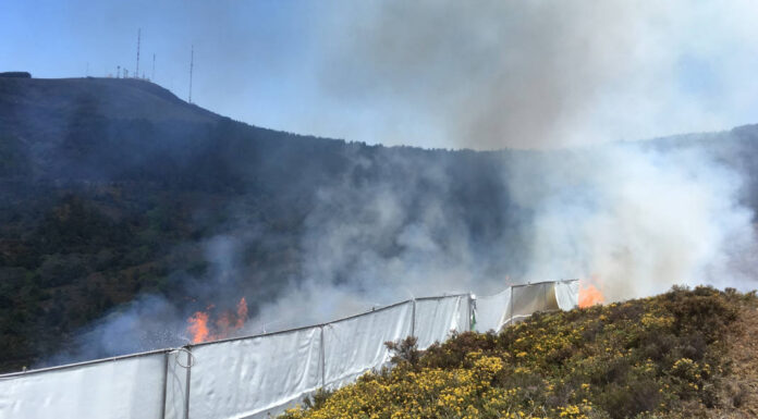 Projeto Fire Protect: cientistas de Coimbra desenvolvem tecnologia de proteção contra incêndios florestais projeto fire protect