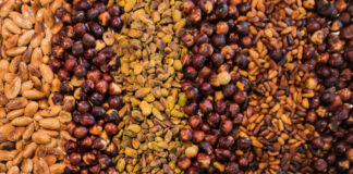 Sorgal representa o grupo Soja de Portugal na AGRO 2019 Sorgal
