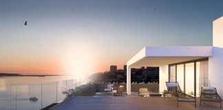 Consultora imobiliária Predibisa com crescimento de 20% em 2018 consultora imobiliaria