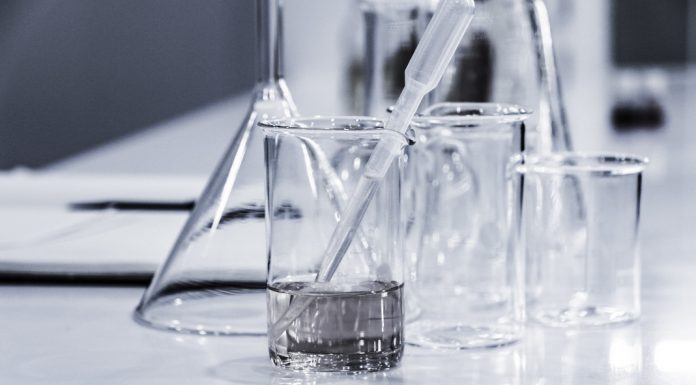Dia Internacional da Imunologia celebrado em Portugal dia internacional da imunologia