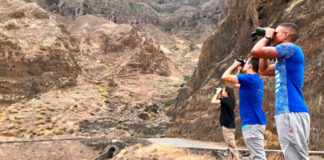 Investigadores da FCTUC ajudam a salvar espécies marinhas ameaçadas em Cabo Verde especies marinhas ameaçadas