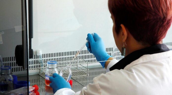 Genética Médica: CGC Genetics é o 1.º laboratório privado português acreditado genetica medica