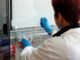 Genética Médica: CGC Genetics é o 1.º laboratório privado português acreditado genetica medica