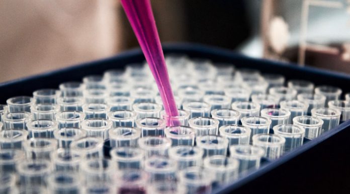 LAP recebe acreditação única em Portugal na área da Anatomia Patológica área da anatomia patológica