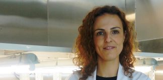 Clonagem de plantas: equipa da FCTUC identifica processo chave clonagem de plantas