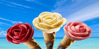Amorino aposta em gelados vegan para o verão gelados vegan