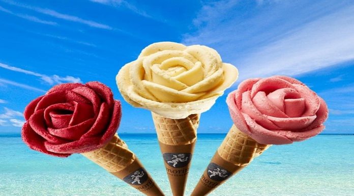 Amorino aposta em gelados vegan para o verão gelados vegan