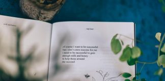 Plano Municipal de Leitura cria Laboratório Poético em Matosinhos laboratorio poetico