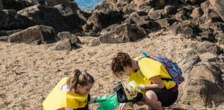 Sea Life promove maior limpeza de praia do Porto limpeza de praia