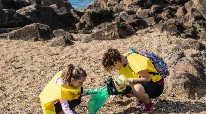 Sea Life promove maior limpeza de praia do Porto limpeza de praia