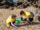 Sea Life promove maior limpeza de praia do Porto limpeza de praia