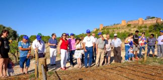 Colheita das hortas comunitárias de Silves tem como destino a Associação Castelo de Sonhos hortas comunitárias em silves