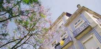 Remax Portugal adquire Remax França remax portugal
