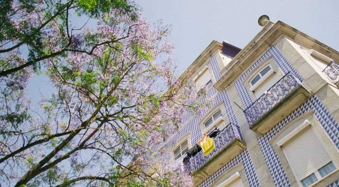 Remax Portugal adquire Remax França remax portugal