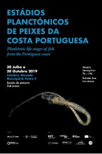 cartaz exposição fotográfica stádios planctónicos de peixes da costa portuguesa