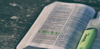 Instituto de Ética nos Negócios lança iniciativa: “Líderes do Futuro em parceria com a Estácio” ética nos negócios