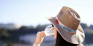 Guindalense: Gatão nos telhados mais famosos de Portugal guindalense