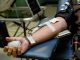 Instituto Português do Sangue e da Transplantação lança apelo a novos dadores entre os mais jovens instituto do sangue e da transplantação