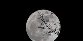 Matosinhos assinala passos do primeiro homem na Lua primeiro homem na lua