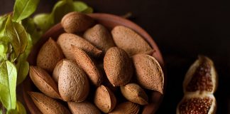 Feira dos Frutos Secos regressa a Alcantarilha feira dos frutos secos