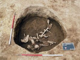 Cientistas descobrem esqueletos do período das invasões bárbaras na Europa de Leste invasoes barbaras