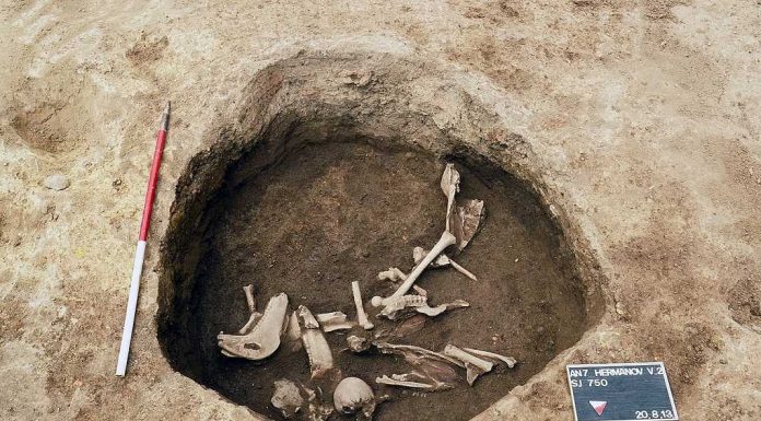 Cientistas descobrem esqueletos do período das invasões bárbaras na Europa de Leste invasoes barbaras