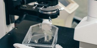 Cientistas discutem em Coimbra o futuro da Engenharia Biomédica engenharia biomédica