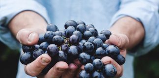 Quinta da Pellada e da Falorca com classificações extraordinárias na “Wine Advocat” de Robert Parker quinta da pellada