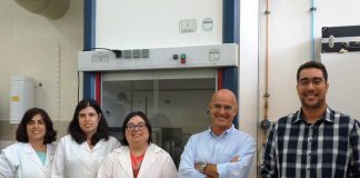 Bactérias probióticas: consórcio internacional procura soluções para aumentar o tempo de preservação bacterias probioticas