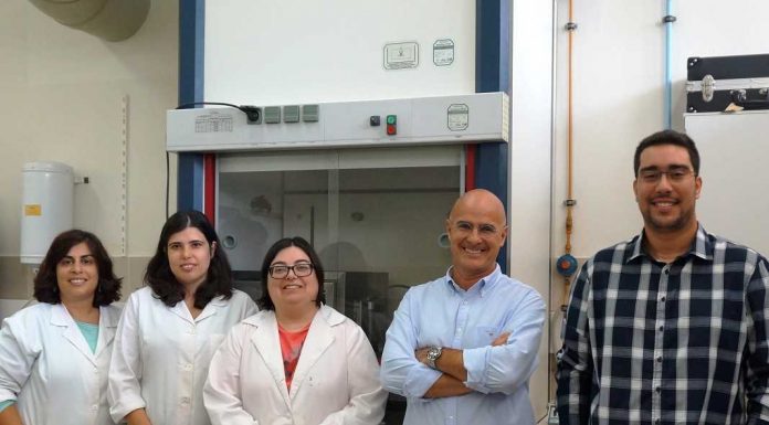 Bactérias probióticas: consórcio internacional procura soluções para aumentar o tempo de preservação bacterias probioticas