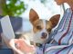 CascaisVet: chegou a Cascais o centro veterinário mais sustentável de Portugal cascaisvet