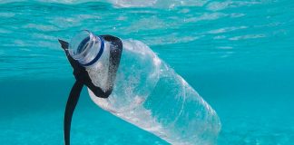 A limpeza do mar é o motivo da campanha de sensibilização “Nem tudo o que vem à rede é Peixe” limpeza do mar