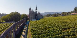 Quintas de vinho verde querem criar rede em prol do turismo sustentável quintas vinho verde