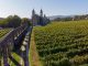 Quintas de vinho verde querem criar rede em prol do turismo sustentável quintas vinho verde
