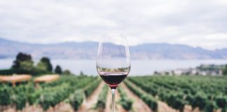 Wine Enthusiast distingue Borges Soalheira Porto Vintage 2017 com 94 pontos wine enthusiast