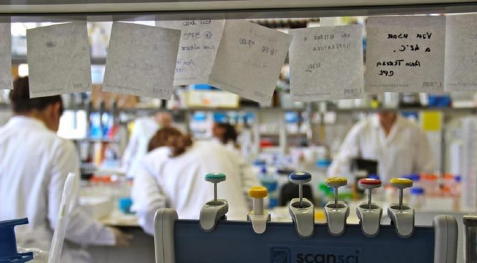 Igualdade de género na investigação com projeto em marcha na Universidade de Coimbra igualdade de genero