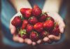 Importância das frutas na alimentação: projeto da APCOI revoluciona hábitos alimentares nos alunos em Portugal Importância das frutas na alimentação