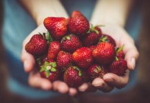Importância das frutas na alimentação: projeto da APCOI revoluciona hábitos alimentares nos alunos em Portugal Importância das frutas na alimentação