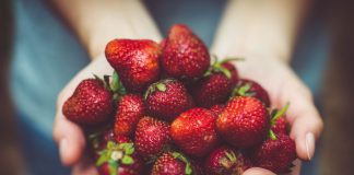 300 escolas juntam-se à APCOI para sensibilizar portugueses para a importância das frutas na alimentação Importância das frutas na alimentação