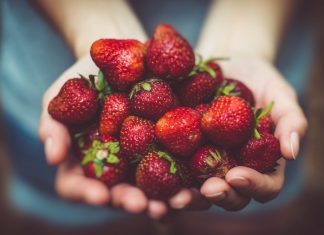 Importância das frutas na alimentação: projeto da APCOI revoluciona hábitos alimentares nos alunos em Portugal Importância das frutas na alimentação