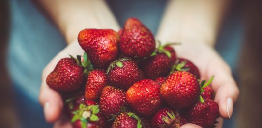 Importância das frutas na alimentação: projeto da APCOI revoluciona hábitos alimentares nos alunos em Portugal Importância das frutas na alimentação