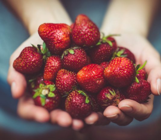 Importância das frutas na alimentação: projeto da APCOI revoluciona hábitos alimentares nos alunos em Portugal Importância das frutas na alimentação