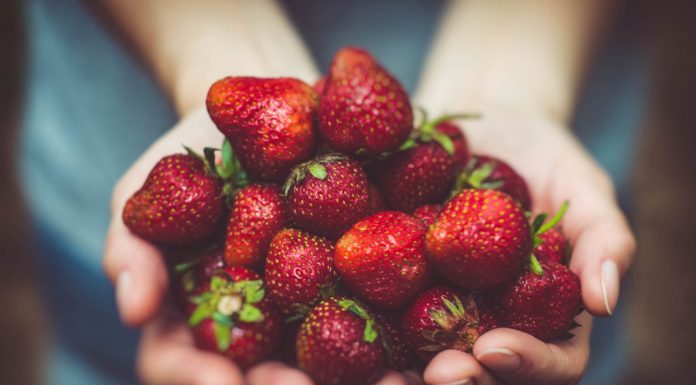 300 escolas juntam-se à APCOI para sensibilizar portugueses para a importância das frutas na alimentação Importância das frutas na alimentação