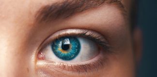 A retina como “espelho do cérebro”, para detetar Alzheimer num diagnóstico precoce alzheimer num diagnóstico precoce