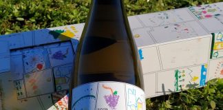 Projeto Germinar: quando o vinho nasce com consciência social projeto germinar