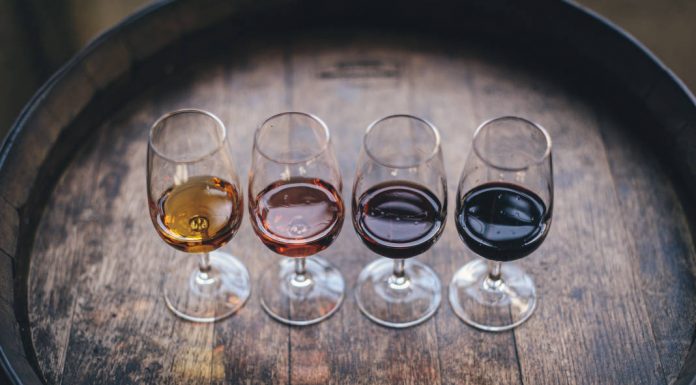 Essência do Vinho: edição 20 anos tem um programa grandioso essência do vinho no porto