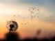 Moda ou ciência, para que serve e o que é Mindfulness? o que é mindfulness