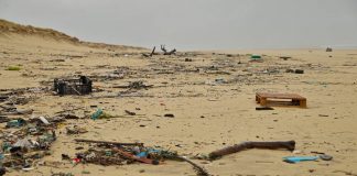 Biblioteca Municipal de Silves promove ação de sensibilização sobre defesa e proteção dos oceanos proteção dos oceanos