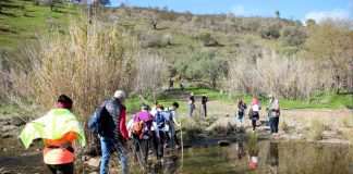 Alta Mora consolida-se no roteiro turístico do Algarve com o Festival das Amendoeiras em Flor roteiro turístico do Algarve